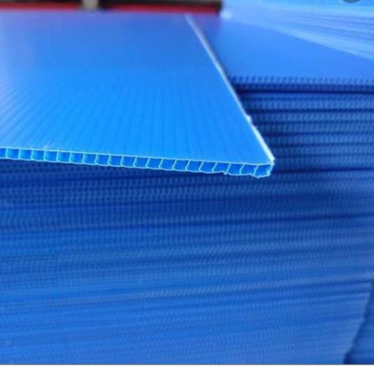 الكارتونال