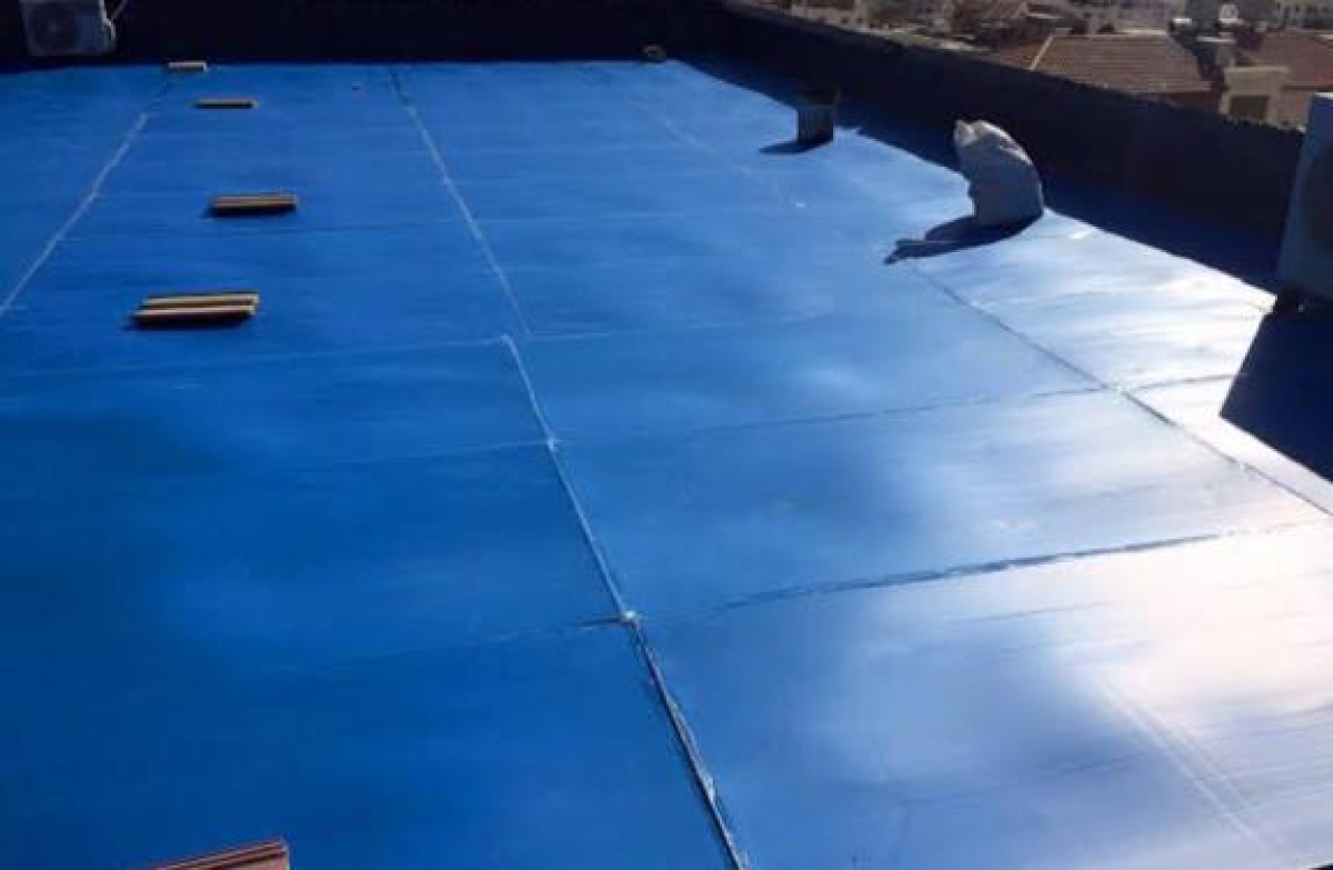 الكارتونال