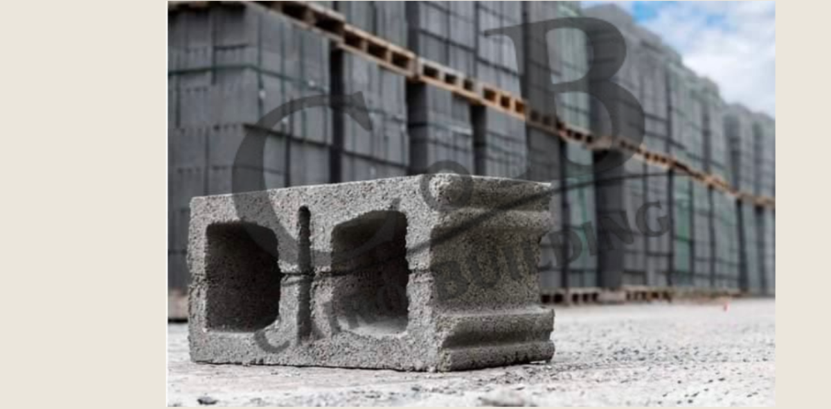 Hollow Concrete Block (25)