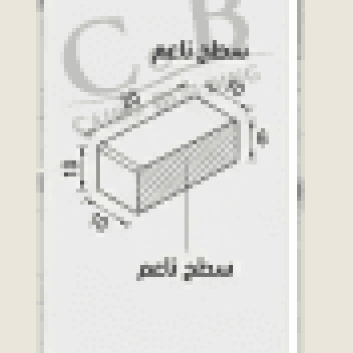 Smooth Parquet  Interlock  Pavers 